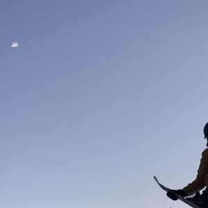 Meet your Posher, Dane